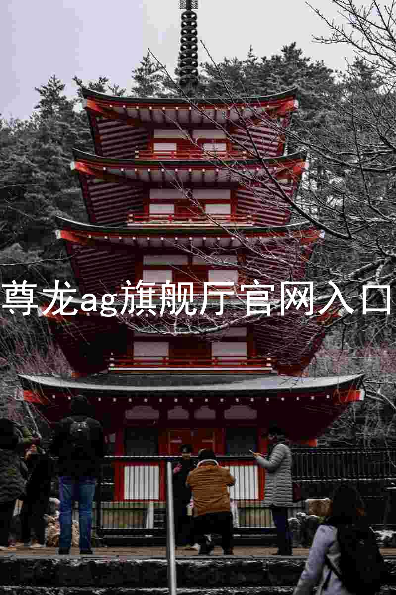尊龙ag旗舰厅官网入口
