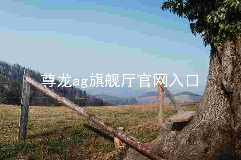 尊龙ag旗舰厅官网入口
