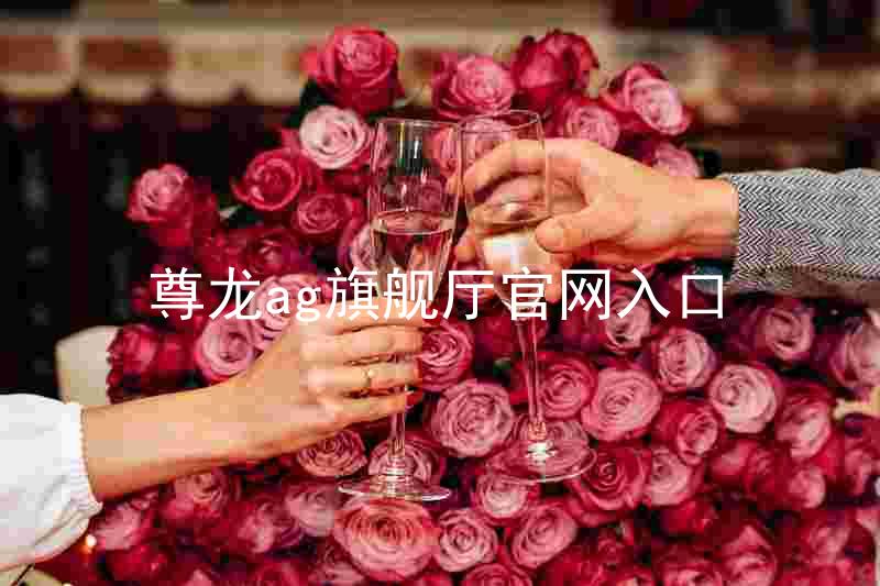 尊龙ag旗舰厅官网入口