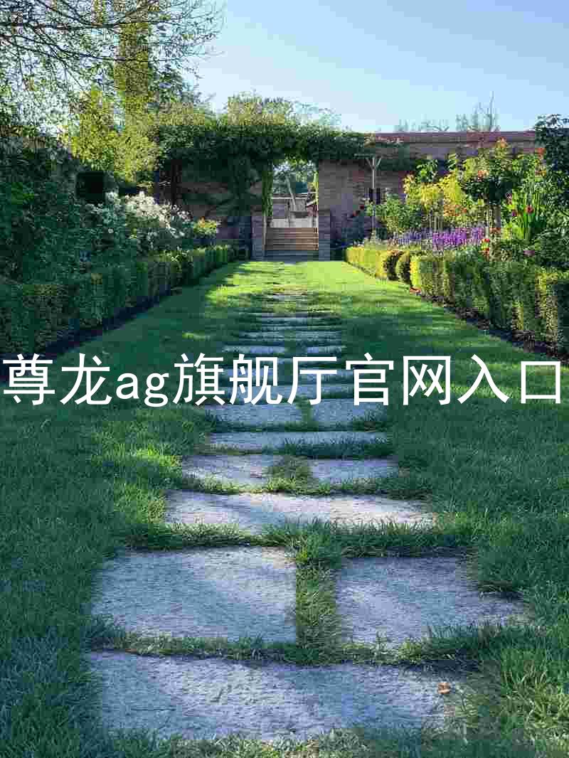 尊龙ag旗舰厅官网入口