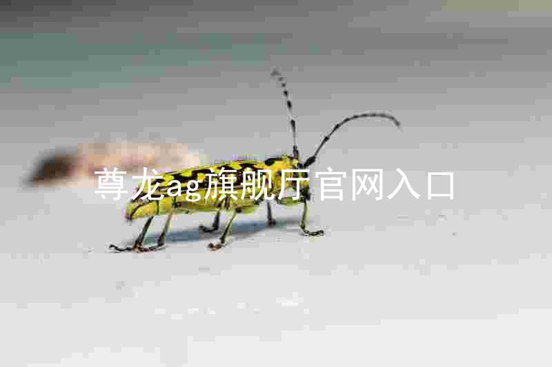 尊龙ag旗舰厅官网入口