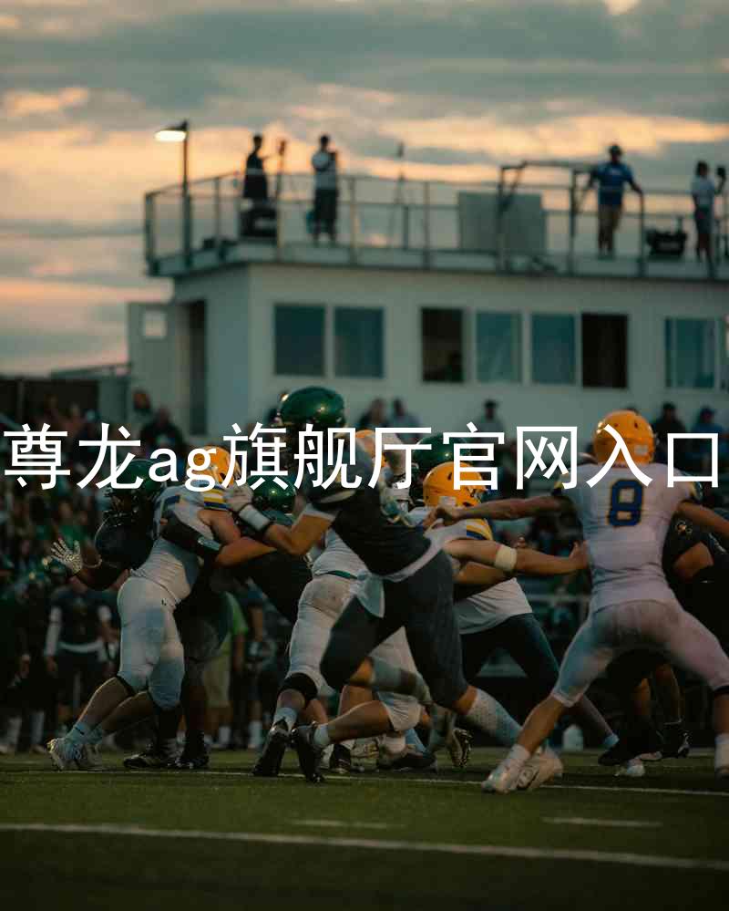 尊龙ag旗舰厅官网入口