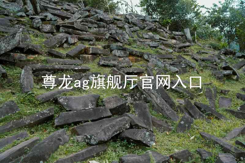 尊龙ag旗舰厅官网入口