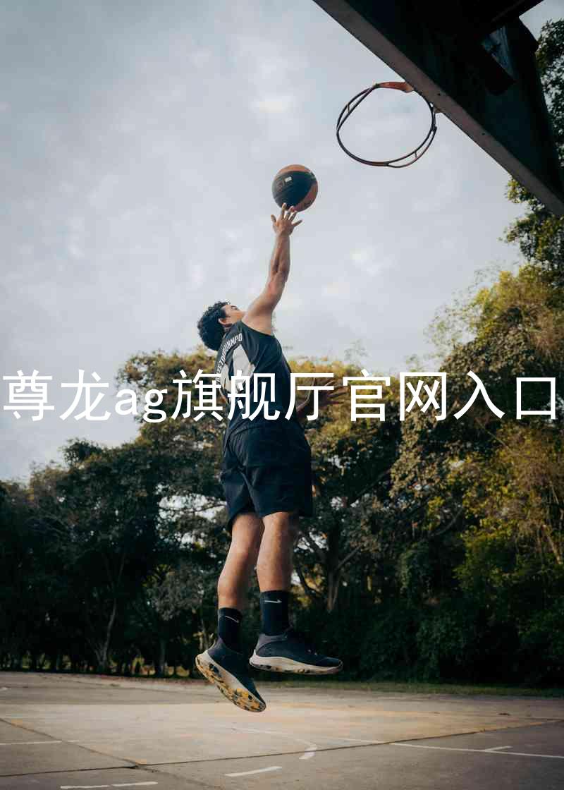 尊龙ag旗舰厅官网入口