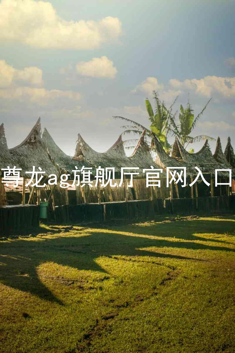 尊龙ag旗舰厅官网入口
