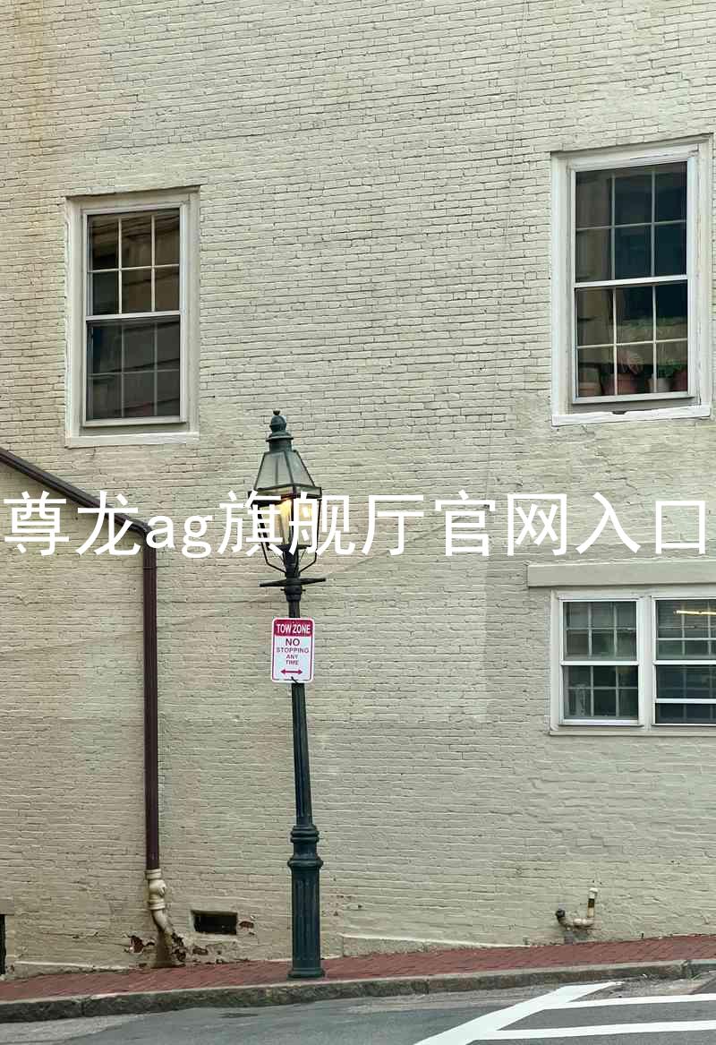 尊龙ag旗舰厅官网入口