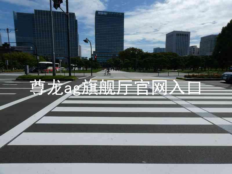 尊龙ag旗舰厅官网入口