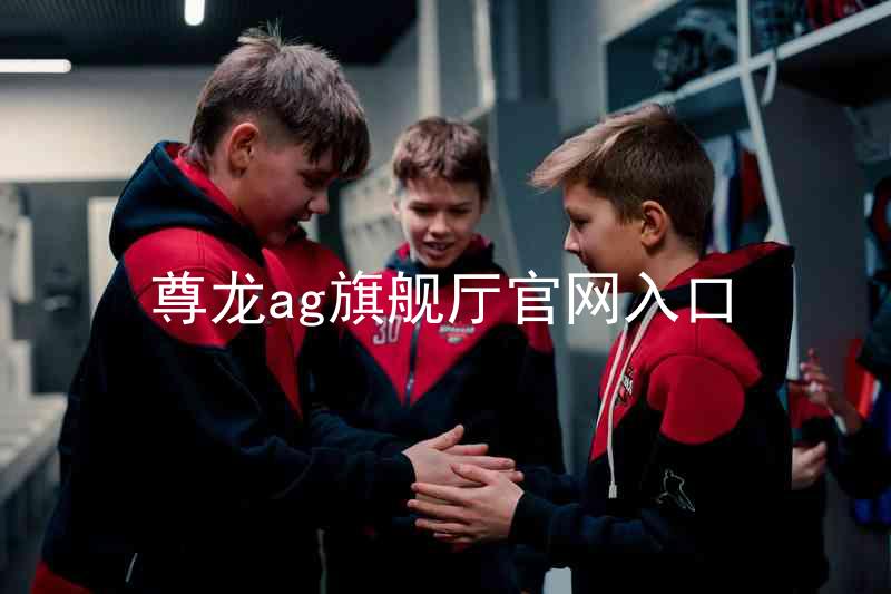 尊龙ag旗舰厅官网入口