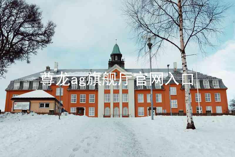 尊龙ag旗舰厅官网入口
