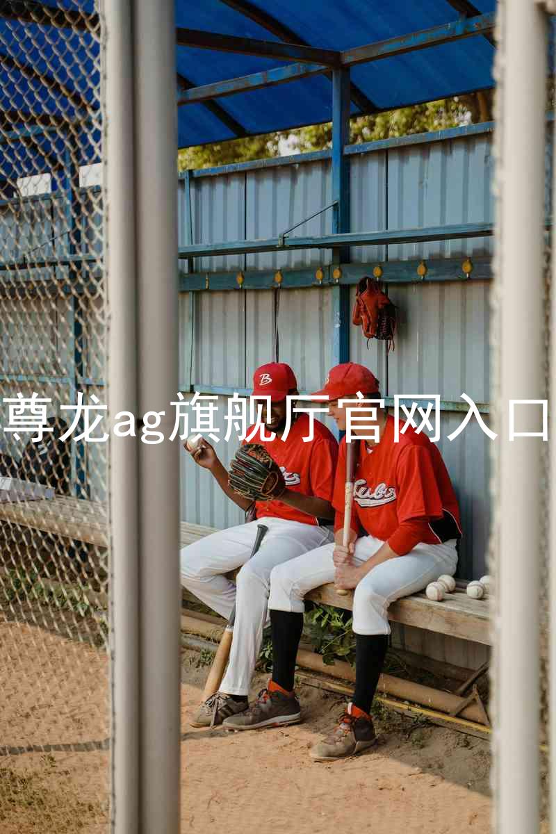 尊龙ag旗舰厅官网入口